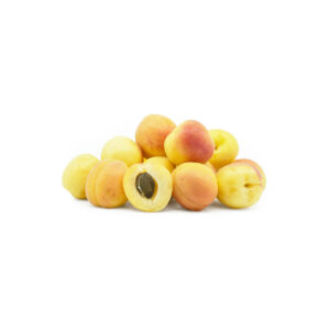 Apricot